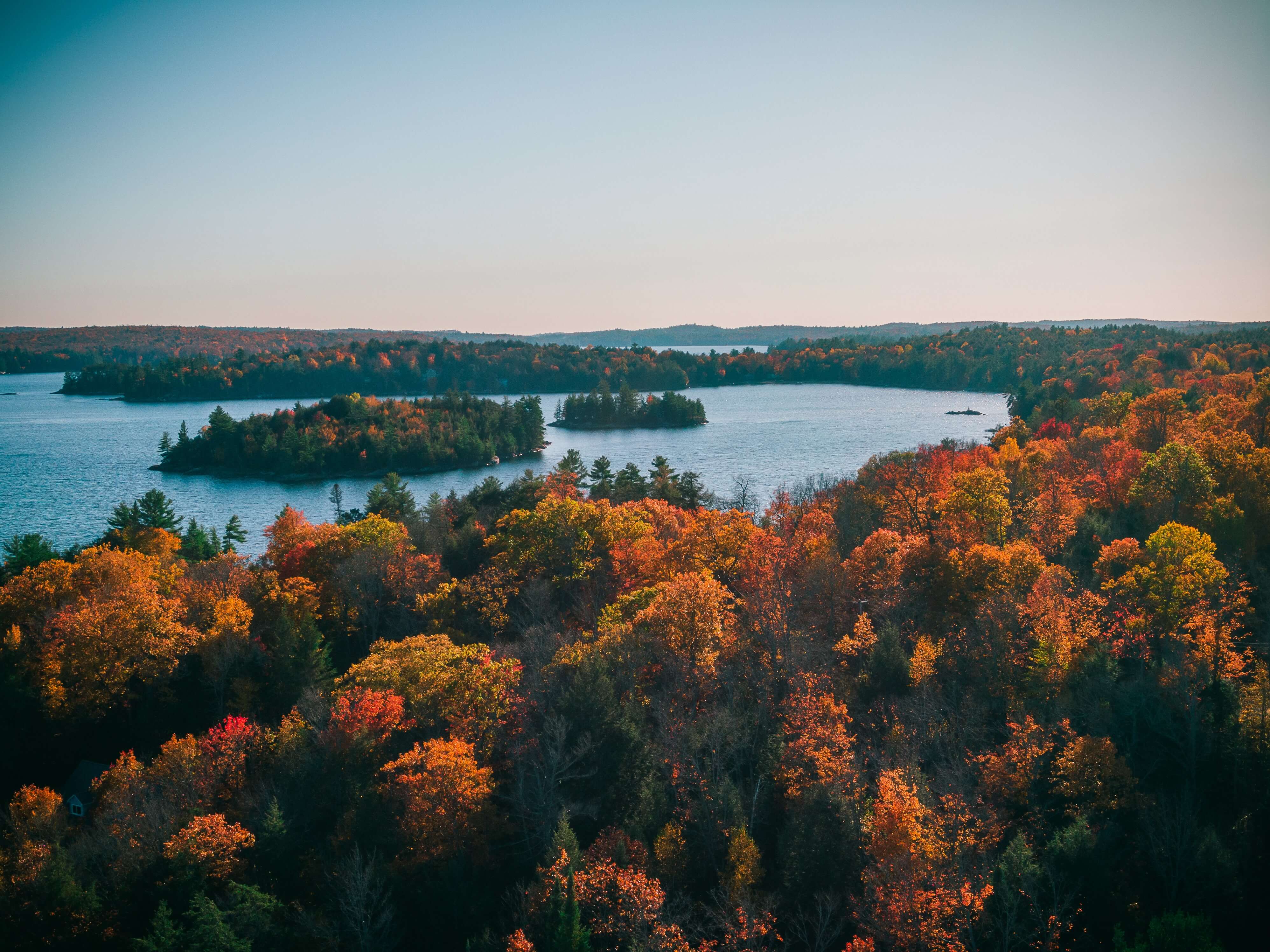 Forest landscape with lake and sky - Photo by Derek Sutton on Unsplash